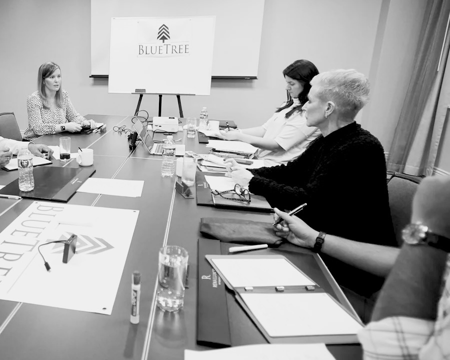 Catherine Mott and BlueTree team members in a working meeting
